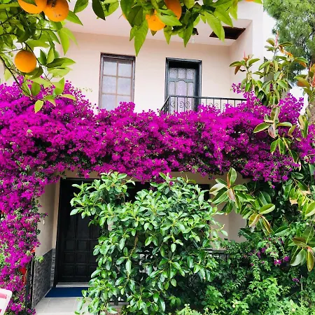 Hotel Arda