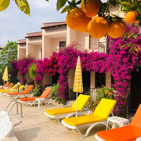 Arda Hotel *